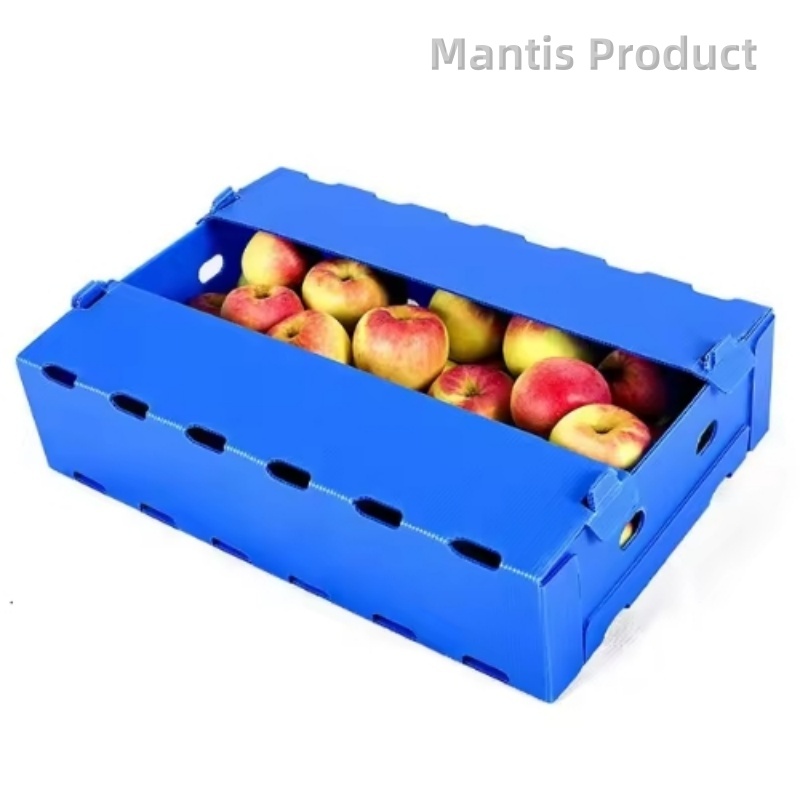 Corrugated-Plastic-Packing-Box-1-1