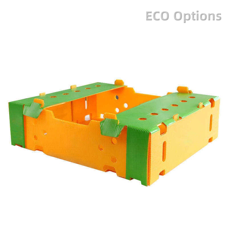 Recycling PP Corrugated Boxes