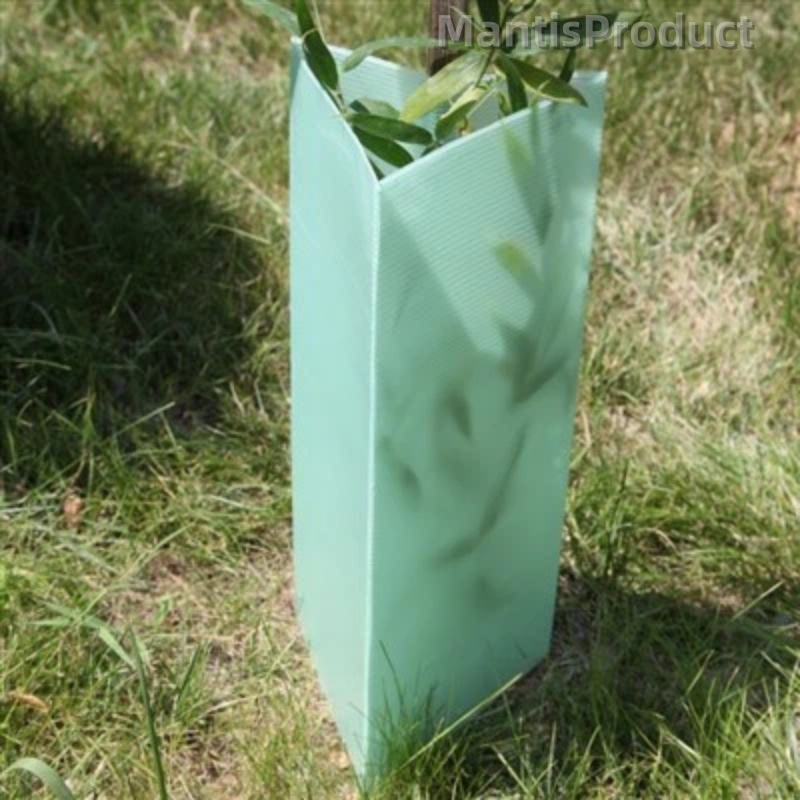 PP Tree Guard