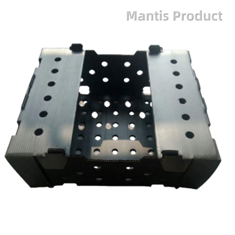 Vegetable and Fruit Packing Box 