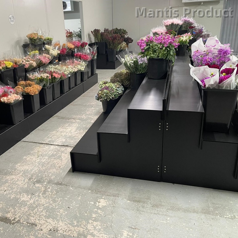 Flower Display Stand