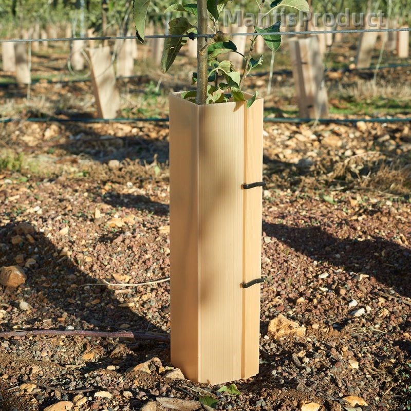 Corrugated Plastic Tree Guard