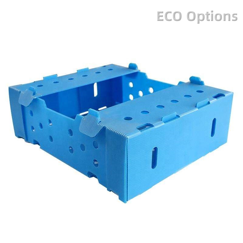 Recycling PP Corrugated Boxes
